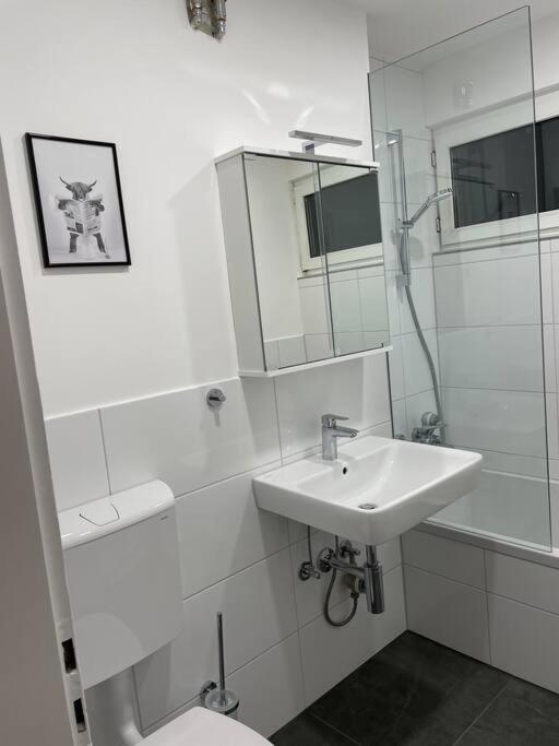 Apartament Penthouse, Offenburg,Europapark Zewnętrze zdjęcie