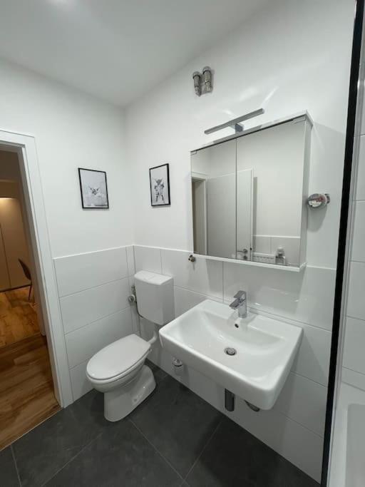 Apartament Penthouse, Offenburg,Europapark Zewnętrze zdjęcie